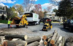 Reliable Honolulu, HI Tree Removal and Landscaping Services Solutions